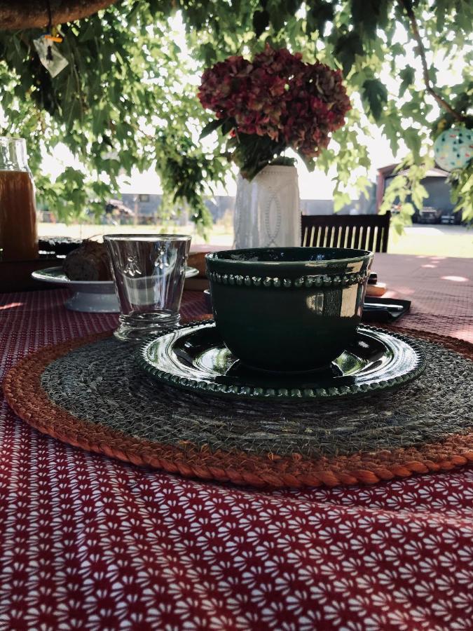 Bed and Breakfast La Gouronerie Parcay-sur-Vienne Esterno foto