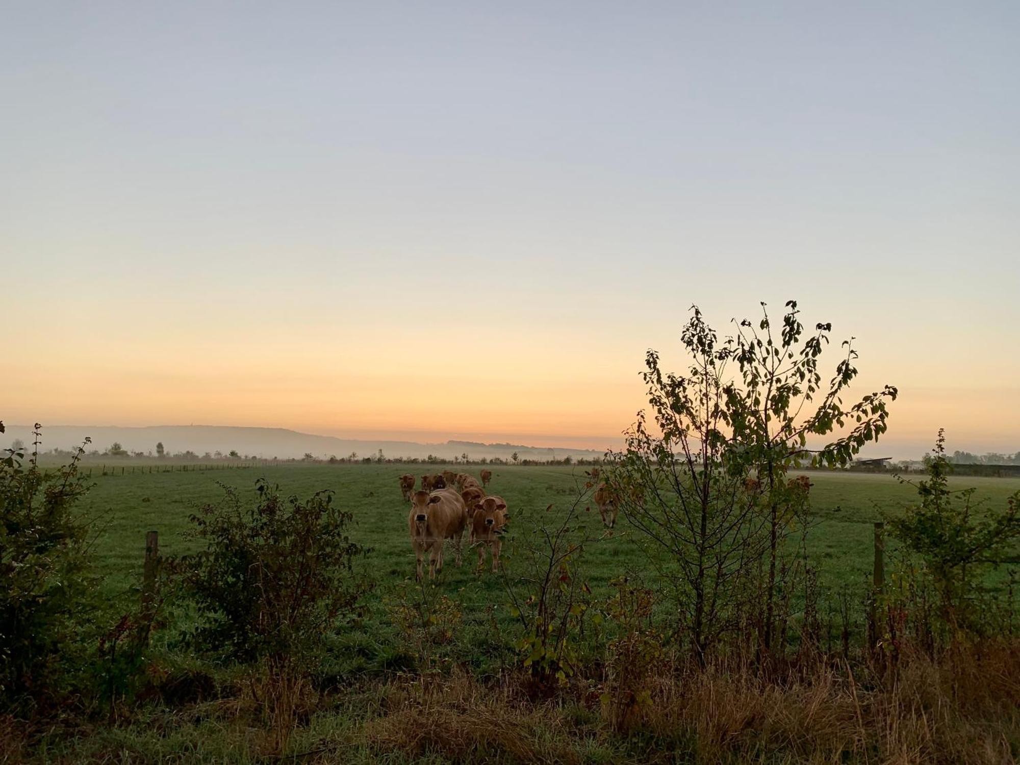 Bed and Breakfast La Gouronerie Parcay-sur-Vienne Esterno foto